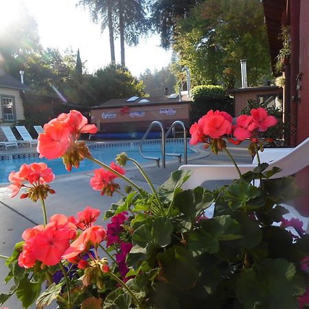 Riverlane Resort Guerneville Exteriér fotografie